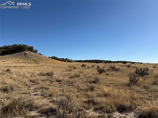 $30,000 | Lot 316 Longhorn Ranch, Model, CO 81059