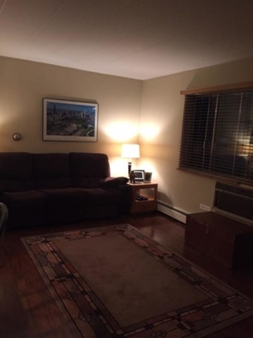 454 Spring Road, Unit 8 Elmhurst, IL 60126 - Photo 13 of 14 a living room with furniture