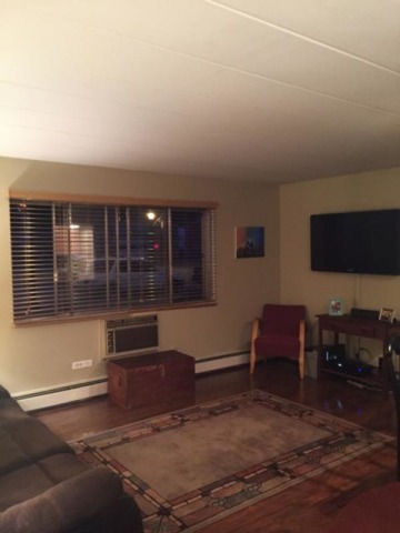 454 Spring Road, Unit 8 Elmhurst, IL 60126 - Photo 14 of 14 a living room with furniture