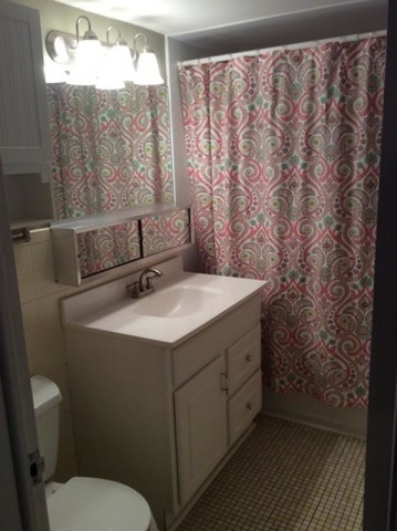 454 Spring Road, Unit 8 Elmhurst, IL 60126 - Photo 5 of 14 a bathroom with a granite countertop sink and a mirror