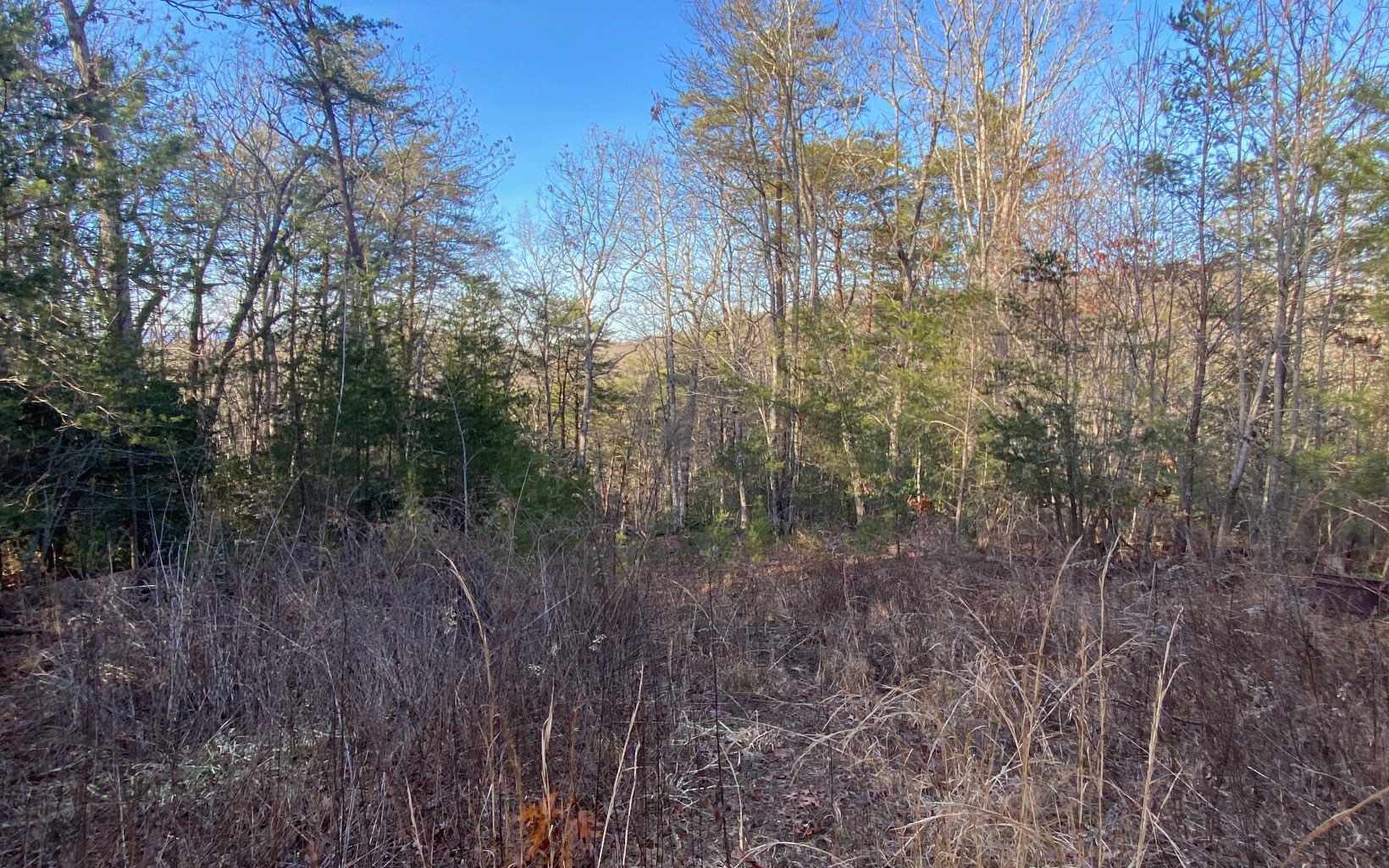 Lot23 Cohutta Overlook Trail Blue Ridge, GA 30513 - Photo 1 of 4 Main View