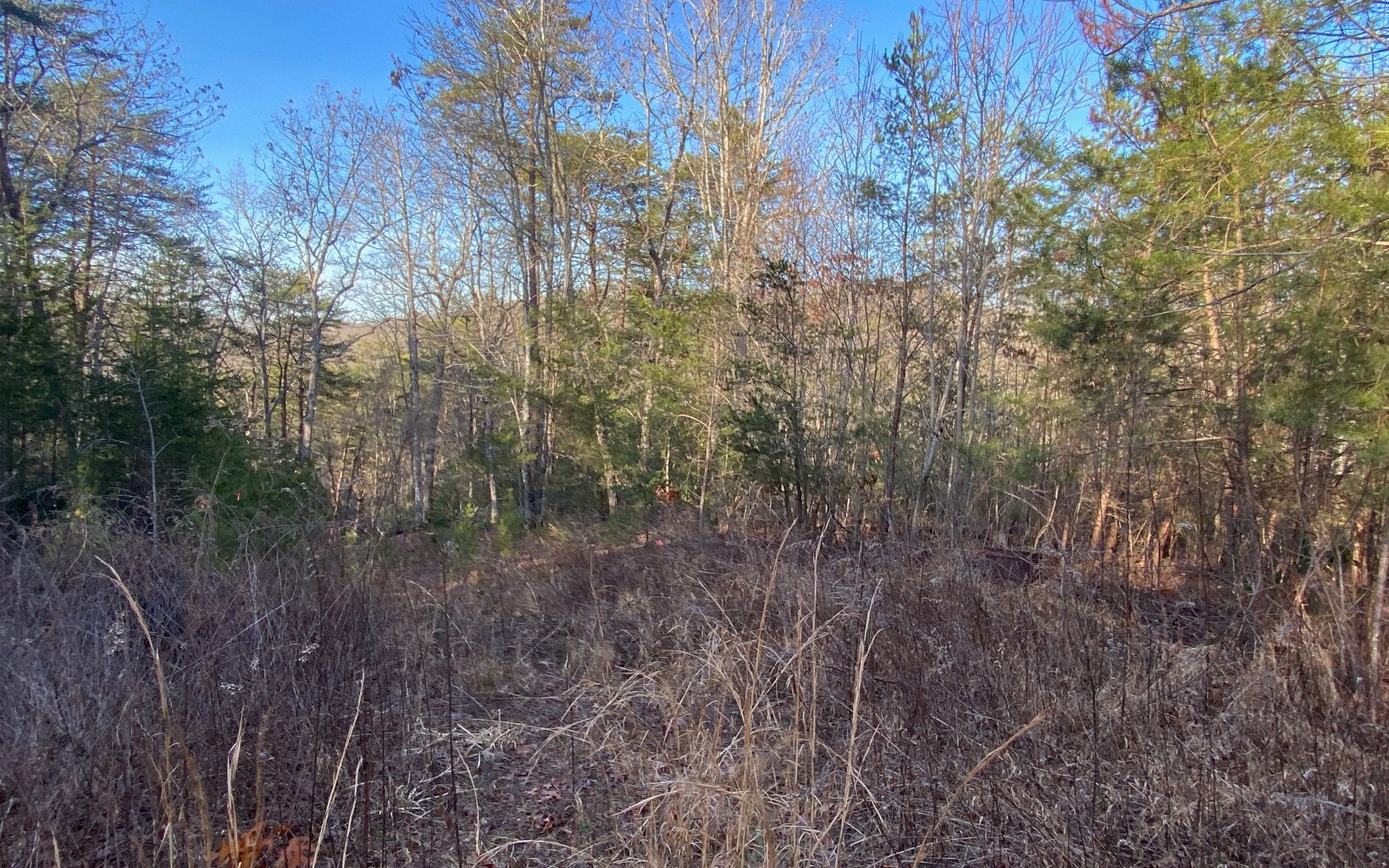 Lot23 Cohutta Overlook Trail Blue Ridge, GA 30513 - Photo 2 of 4 Additional View