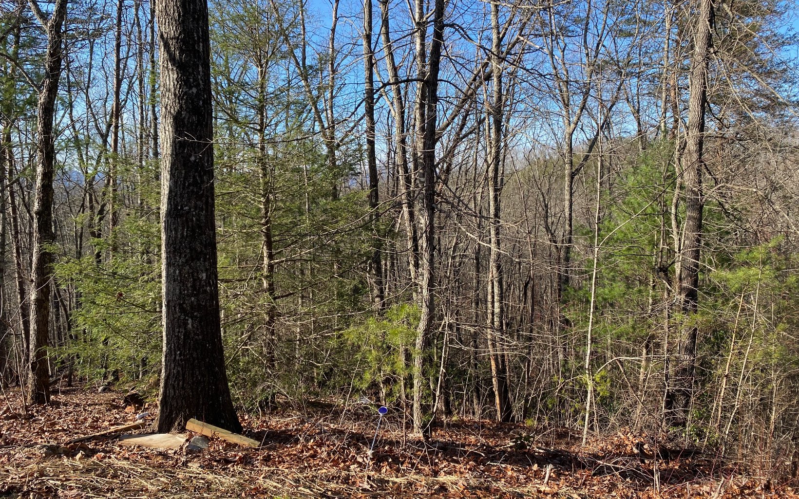 Lot23 Cohutta Overlook Trail Blue Ridge, GA 30513 - Photo 3 of 4 Additional View