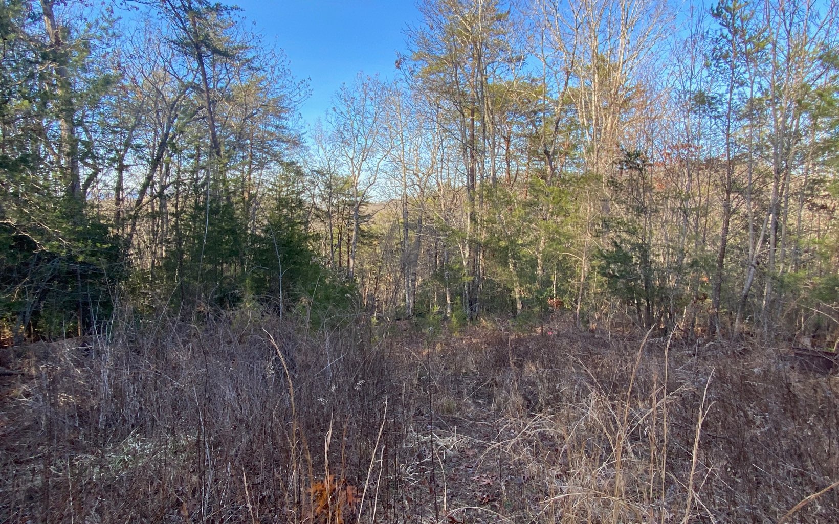 Lot23 Cohutta Overlook Trail Blue Ridge, GA 30513 - Photo 4 of 4 Additional View