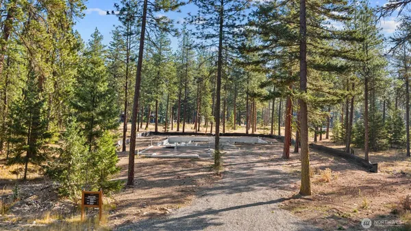 a view of a yard with trees