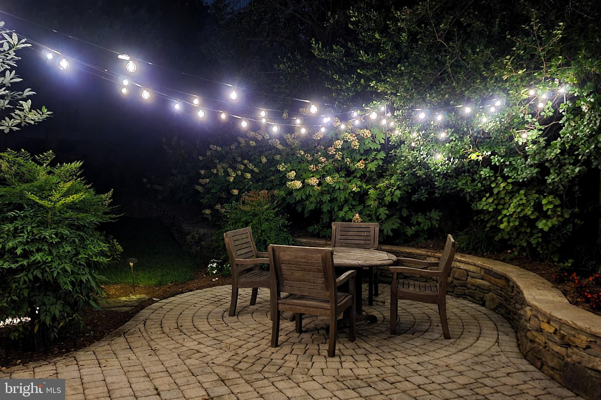 4605 Clemson Road College Park, MD 20740 - Photo 46 of 76 Patio lights at night!