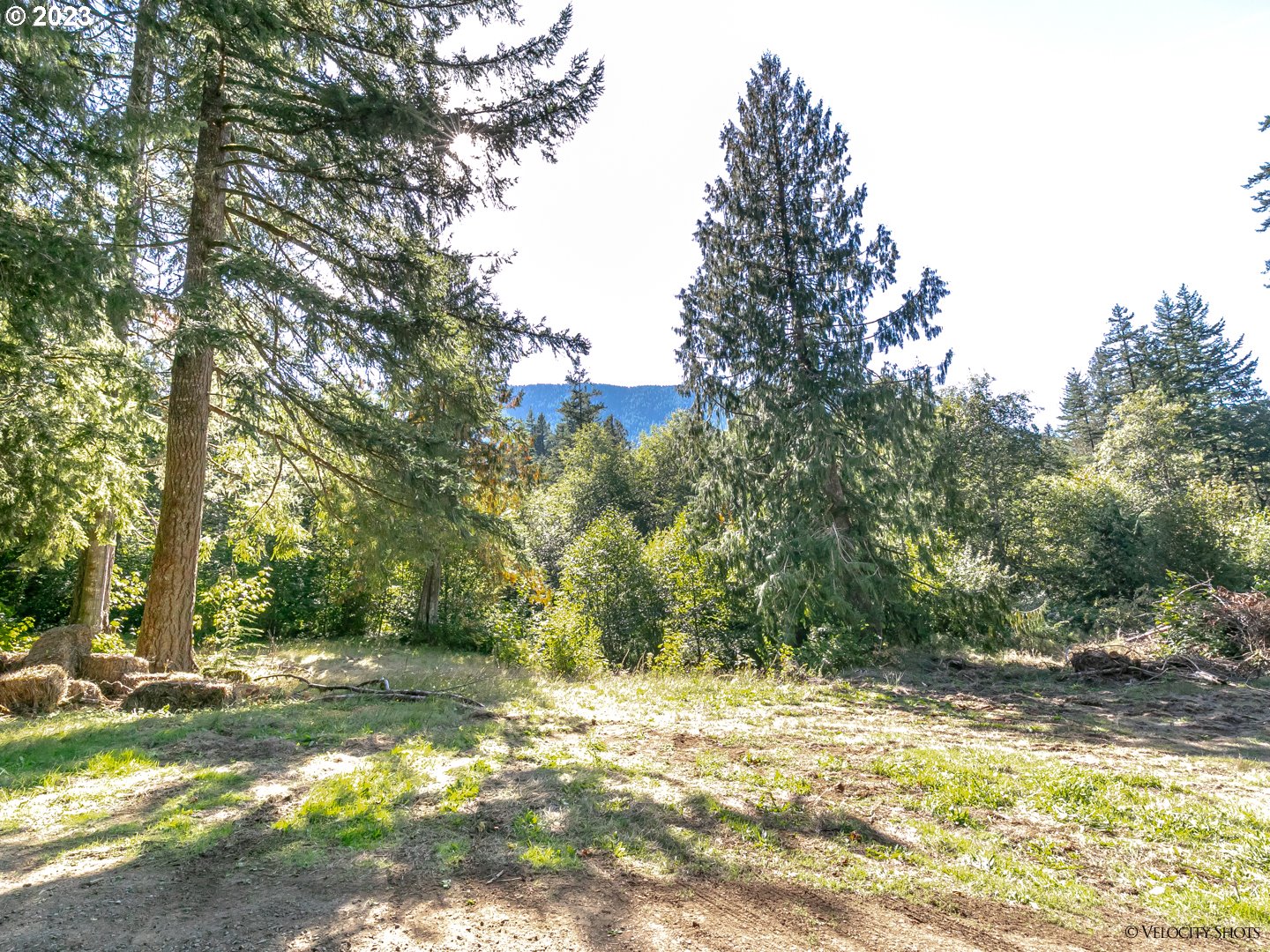 27515 Belle Lake Road Rhododendron, OR 97049 - Photo 34 of 42 View