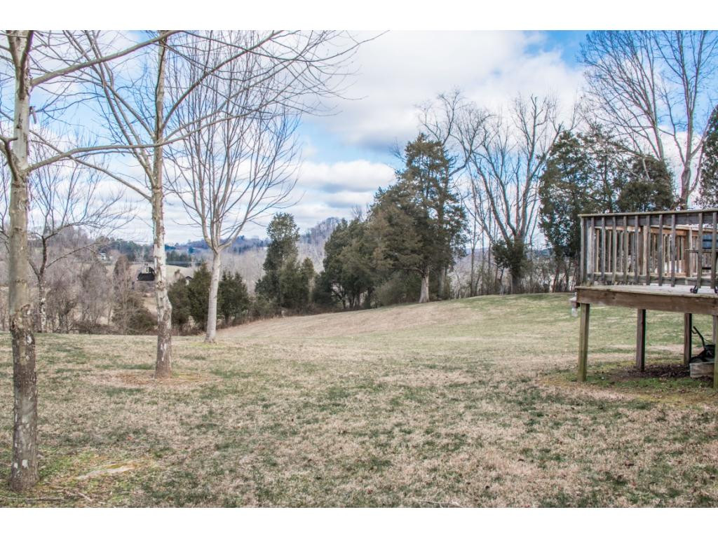 669 Peoples Road Bristol, TN 37620 - Photo 17 of 25 Back Yard View from Deck