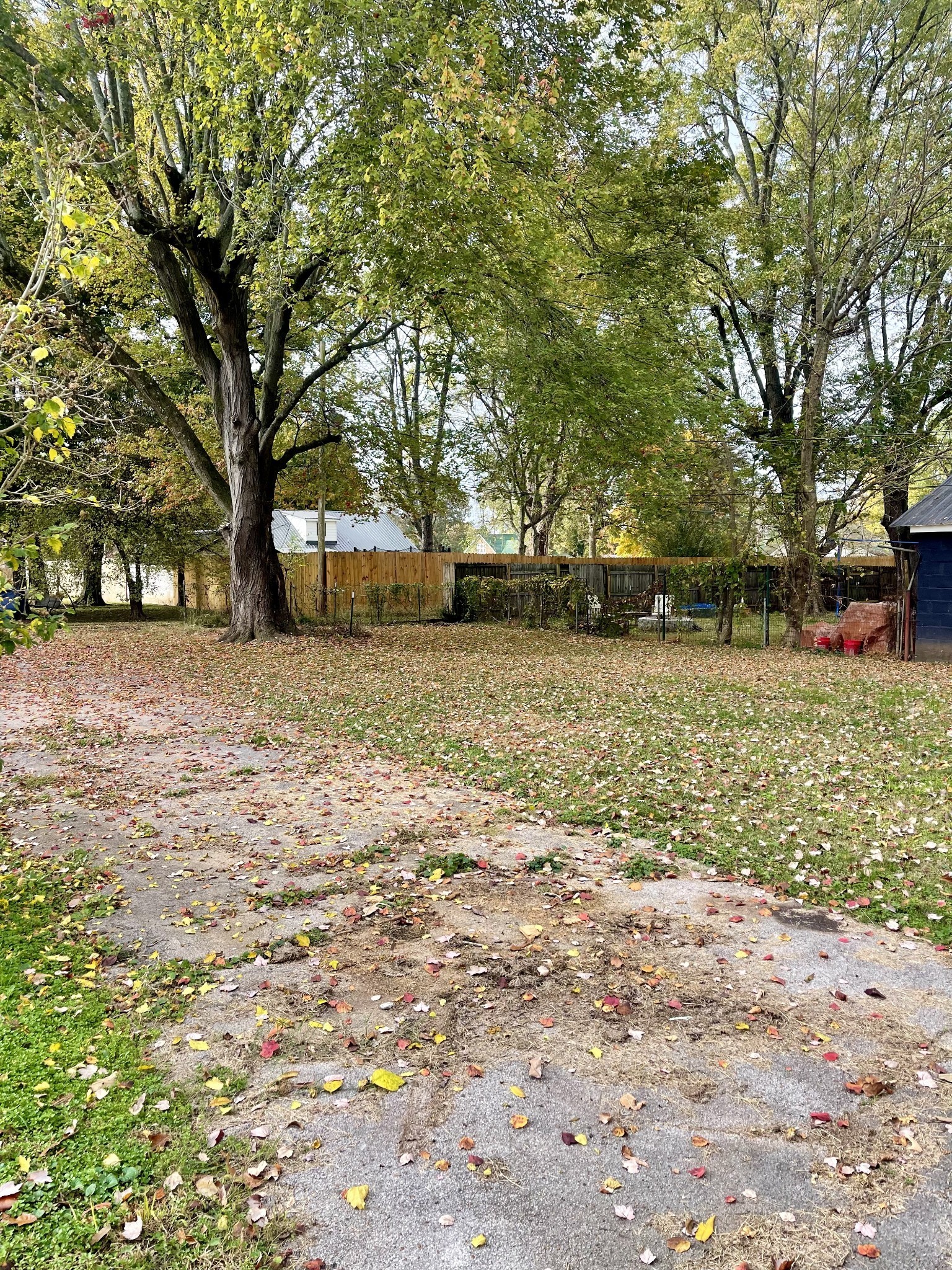 209 Frank Street Lawrenceburg, TN 38464 - Photo 7 of 34 a backyard of a house with large trees