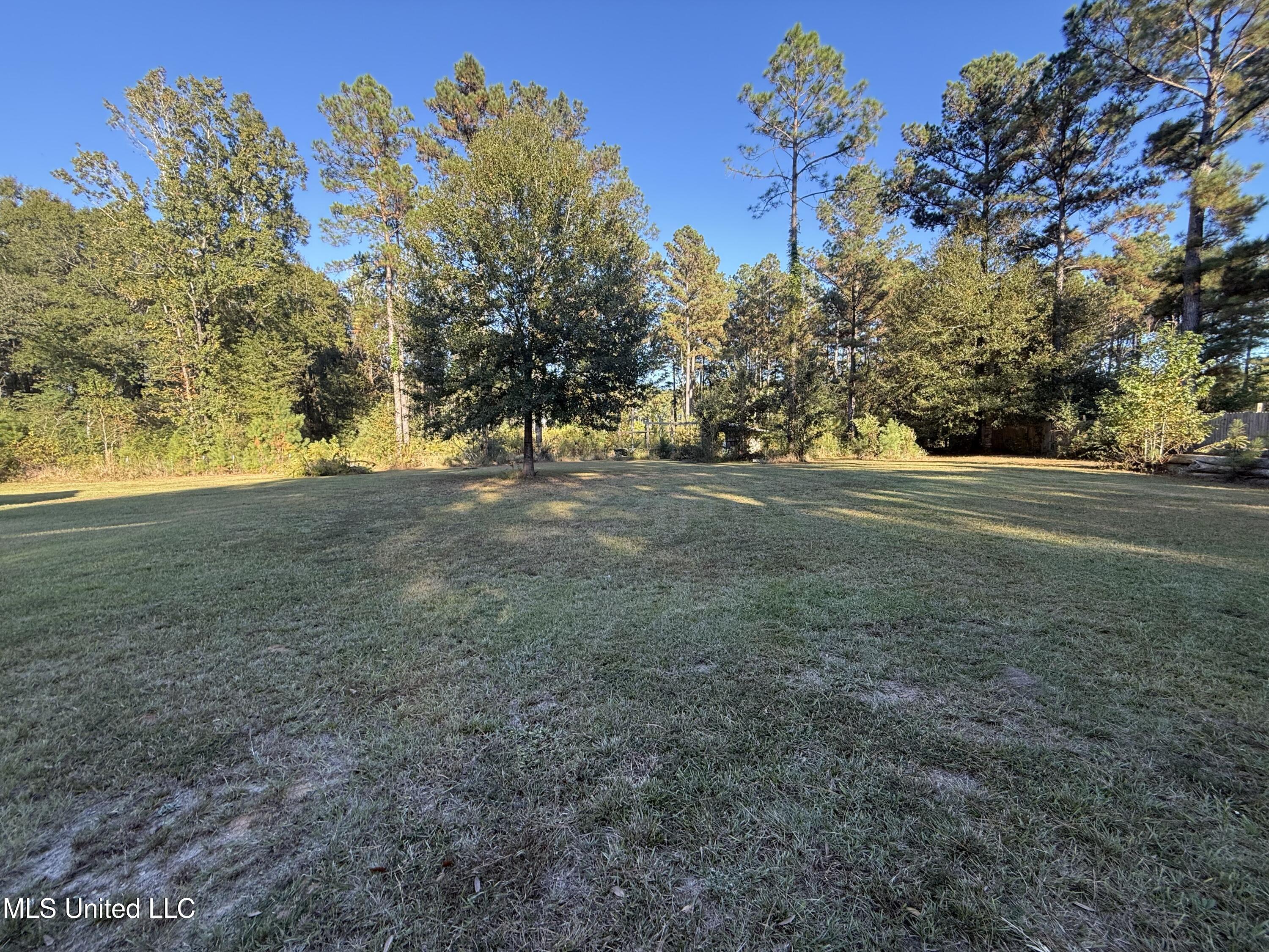210 Lee Anderson Road Lucedale, MS 39452 - Photo 4 of 15 Yard