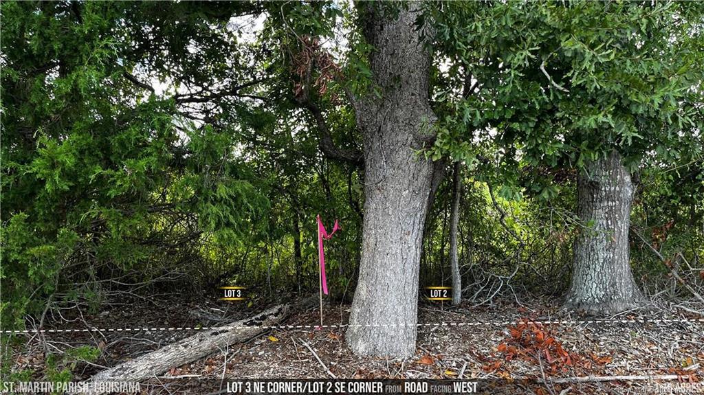 1067 Jeffery Broussard Road Breaux Bridge, LA 70517 - Photo 16 of 19 Gallery Image 16