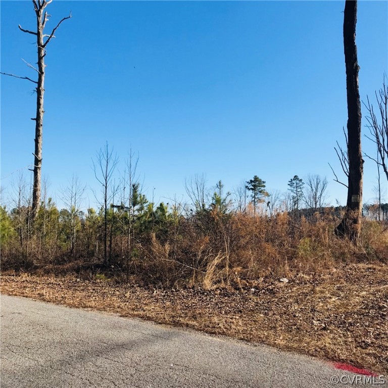 0 Boze Road Ford, VA 23850 - Photo 7 of 8