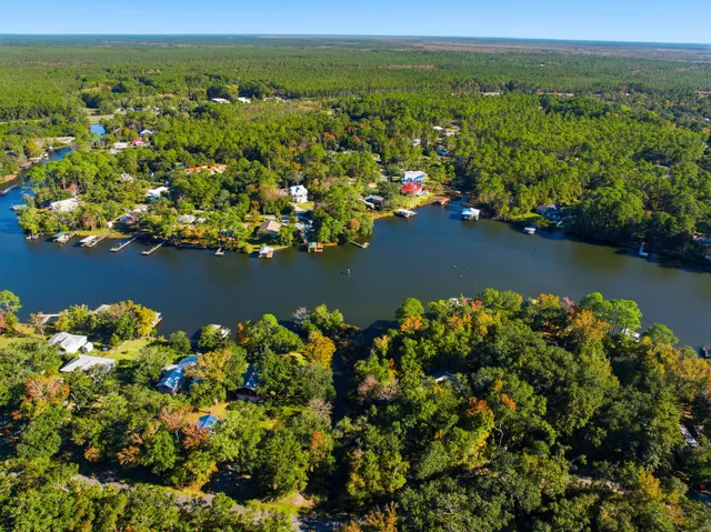 a view of a lot of trees and houses