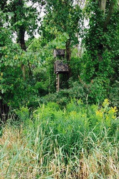 West Adams Road Alma, MI 48801 - Photo 4 of 10 Additional Photo