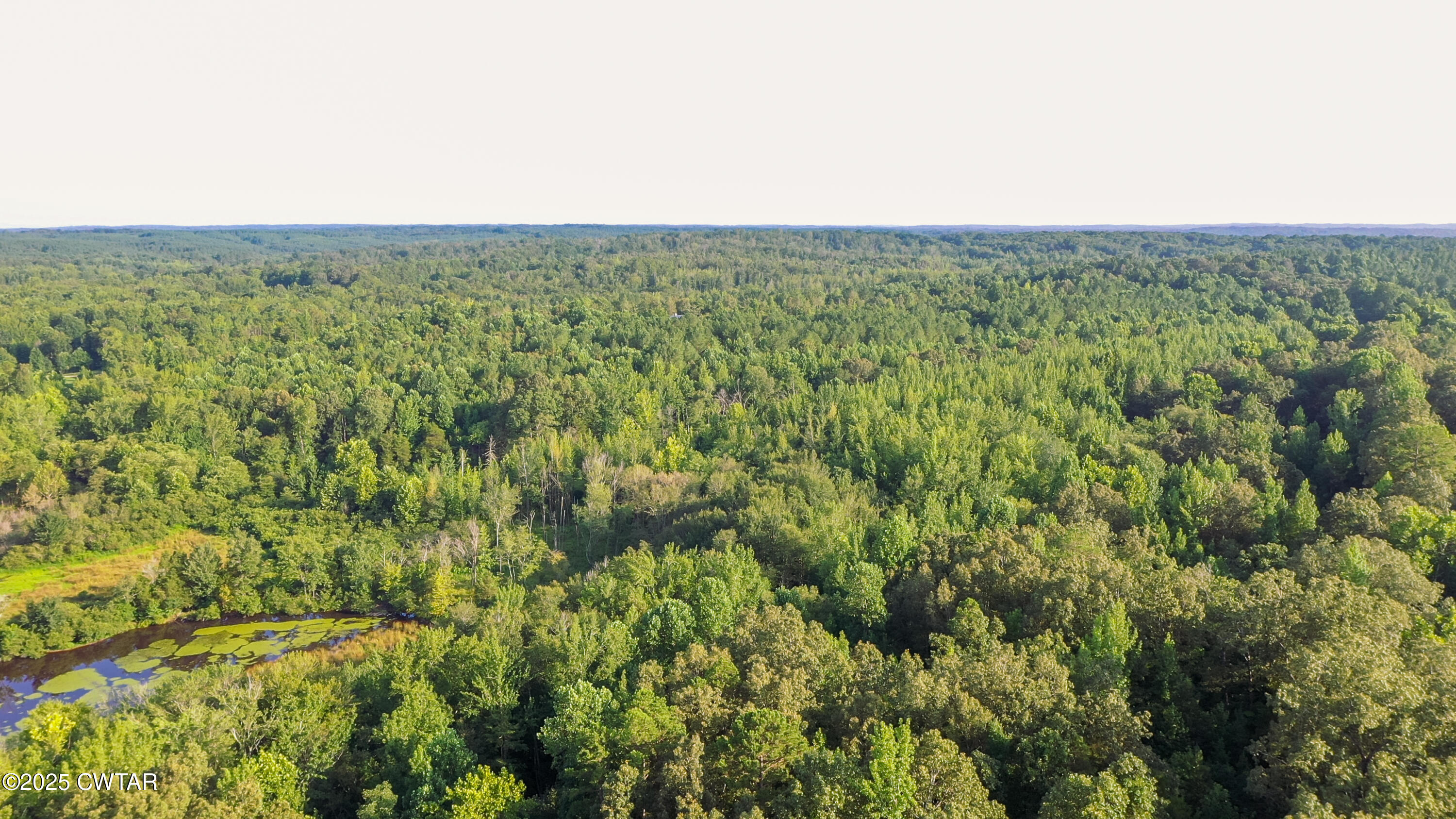 0 Willoughby Loop Pinson, TN 38366 - Photo 14 of 14 an aerial view of forest