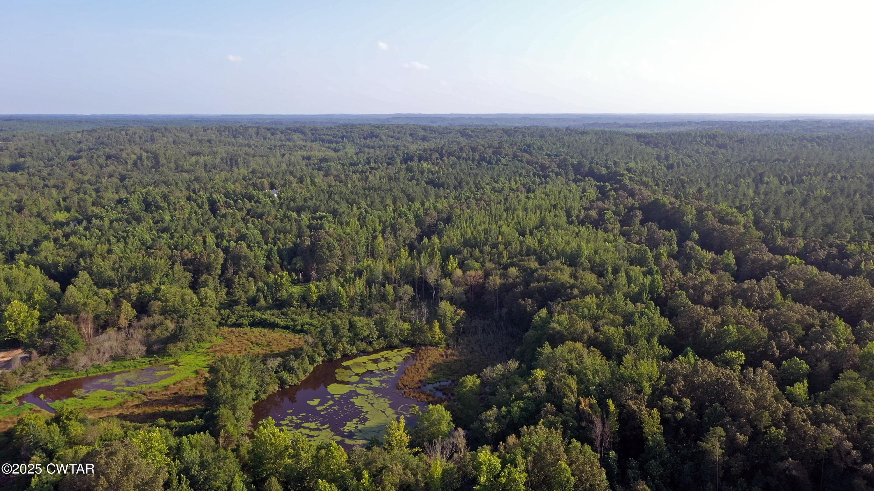 0 Willoughby Loop Pinson, TN 38366 - Photo 4 of 14 a view of a city with lush green forest