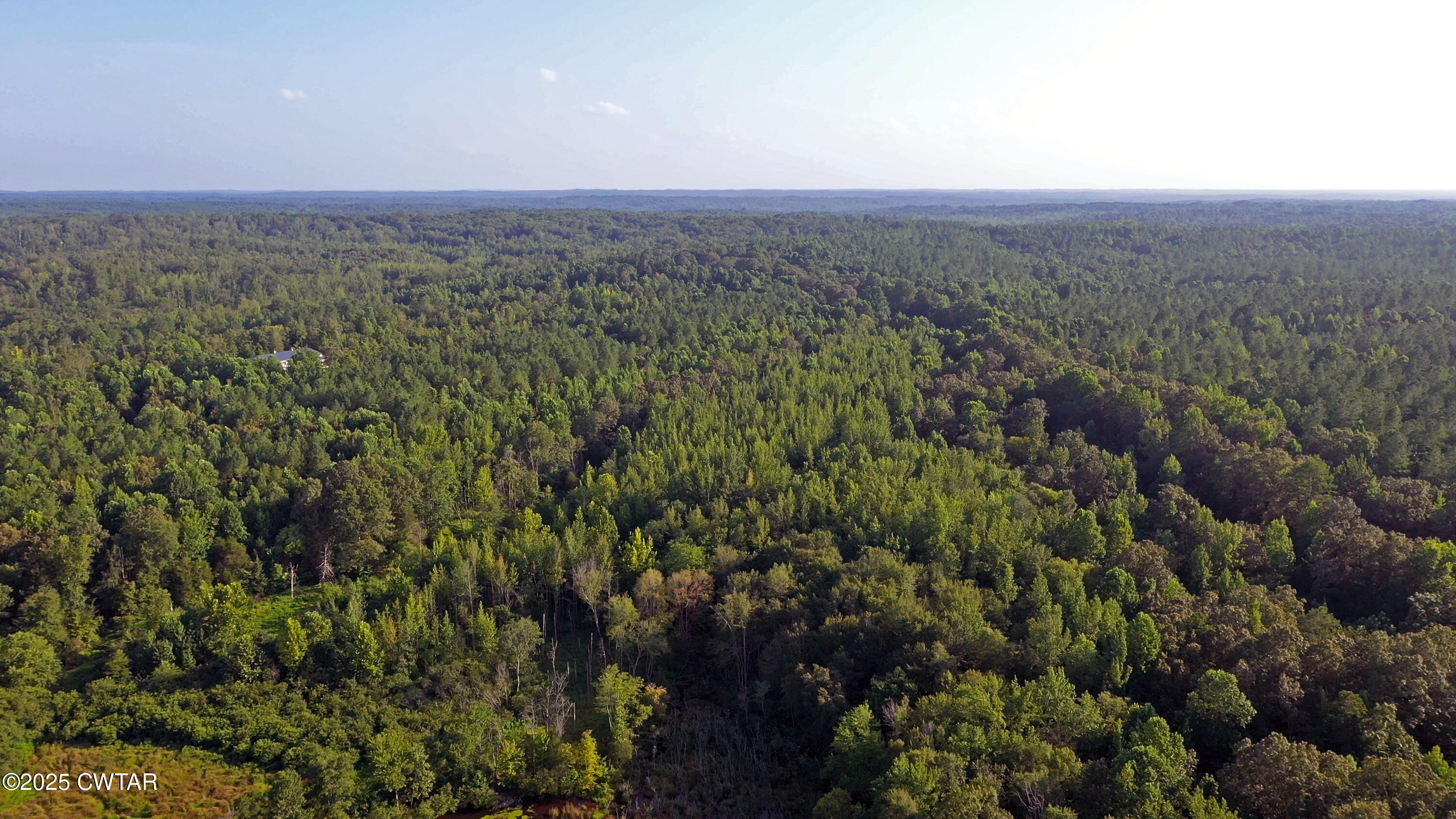 0 Willoughby Loop Pinson, TN 38366 - Photo 5 of 14 a view of a yard with an outdoor space