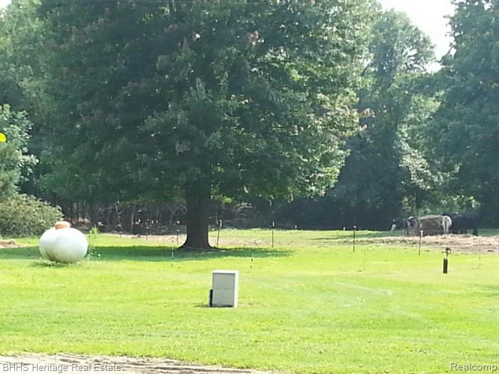 5079 West Lovejoy Road Fowlerville, MI 48836 - Photo 13 of 14 west side of yard.jpg