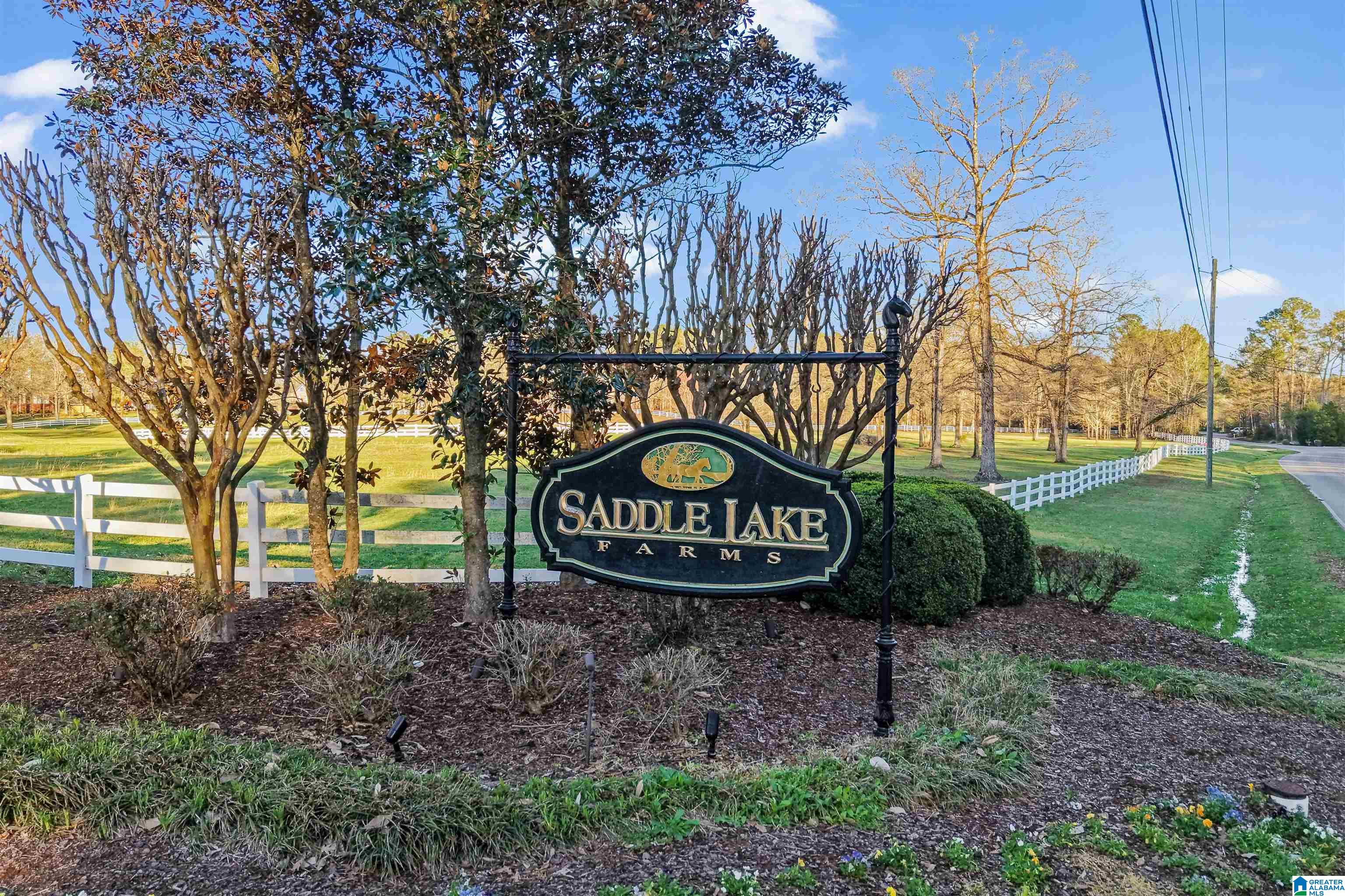 236 Thoroughbred Lane Alabaster, AL 35007 - Photo 14 of 68