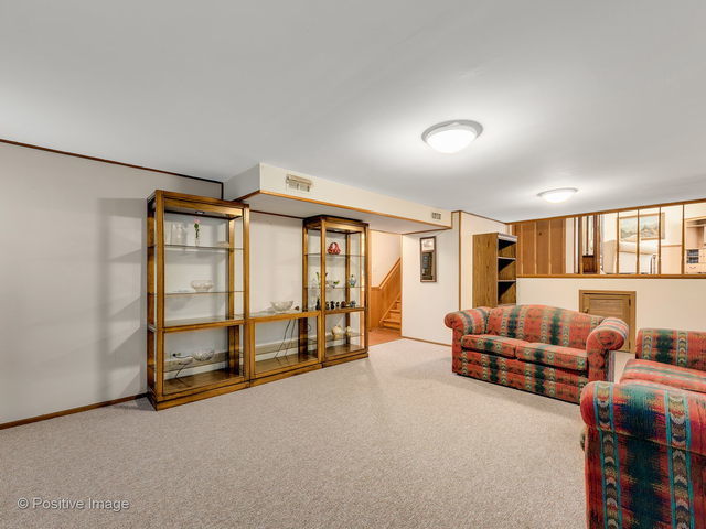 7827 Rohrer Drive Downers Grove, IL 60516 - Photo 11 of 18