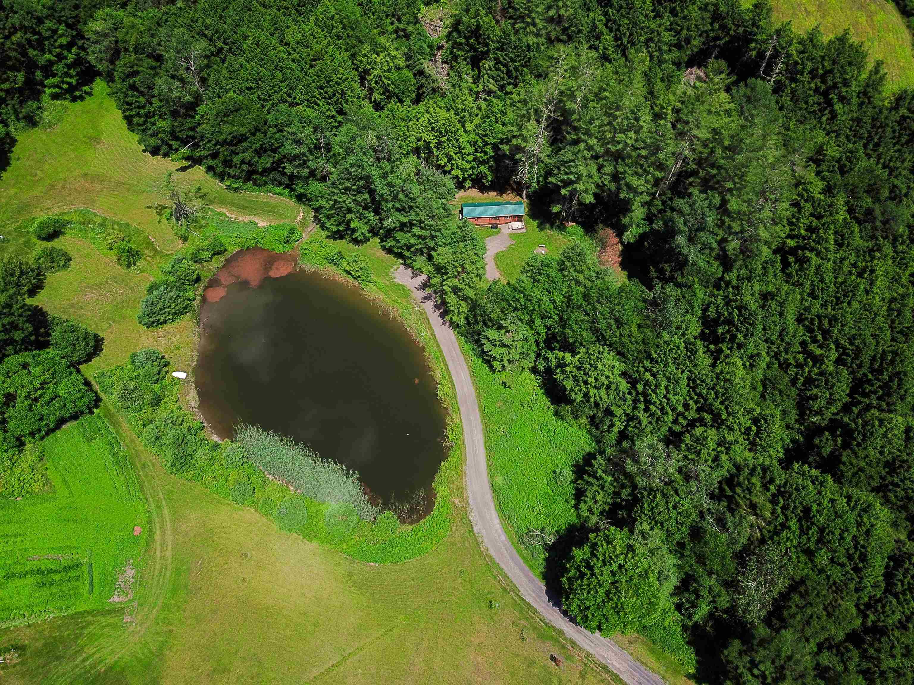 429 Community Drive Randolph, VT 05061 - Photo 5 of 29