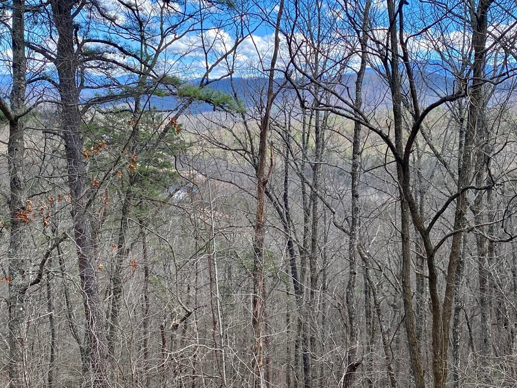 1749 Pinestand Rdg Way Sevierville, TN 37862 - Photo 5 of 5