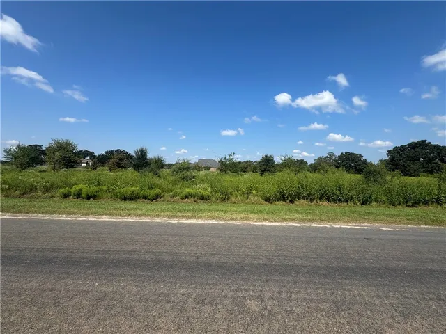 a view of a road with large trees
