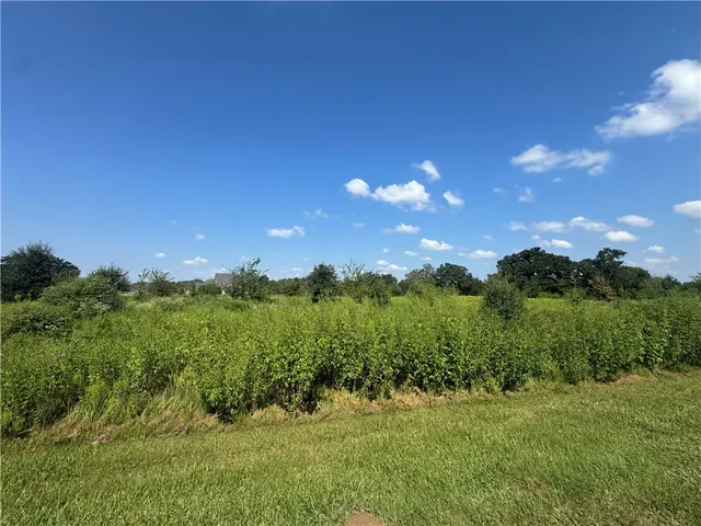 a view of a green field with lots of bushes