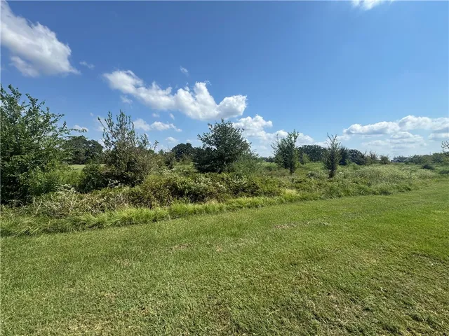 a view of a big yard with large trees