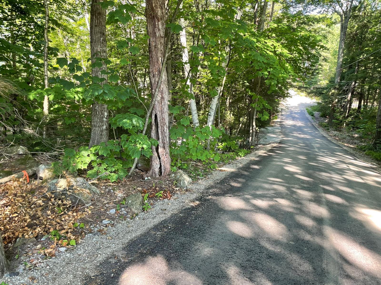 East Shore Road Dublin, NH 03444 - Photo 6 of 8 Gallery Image 6