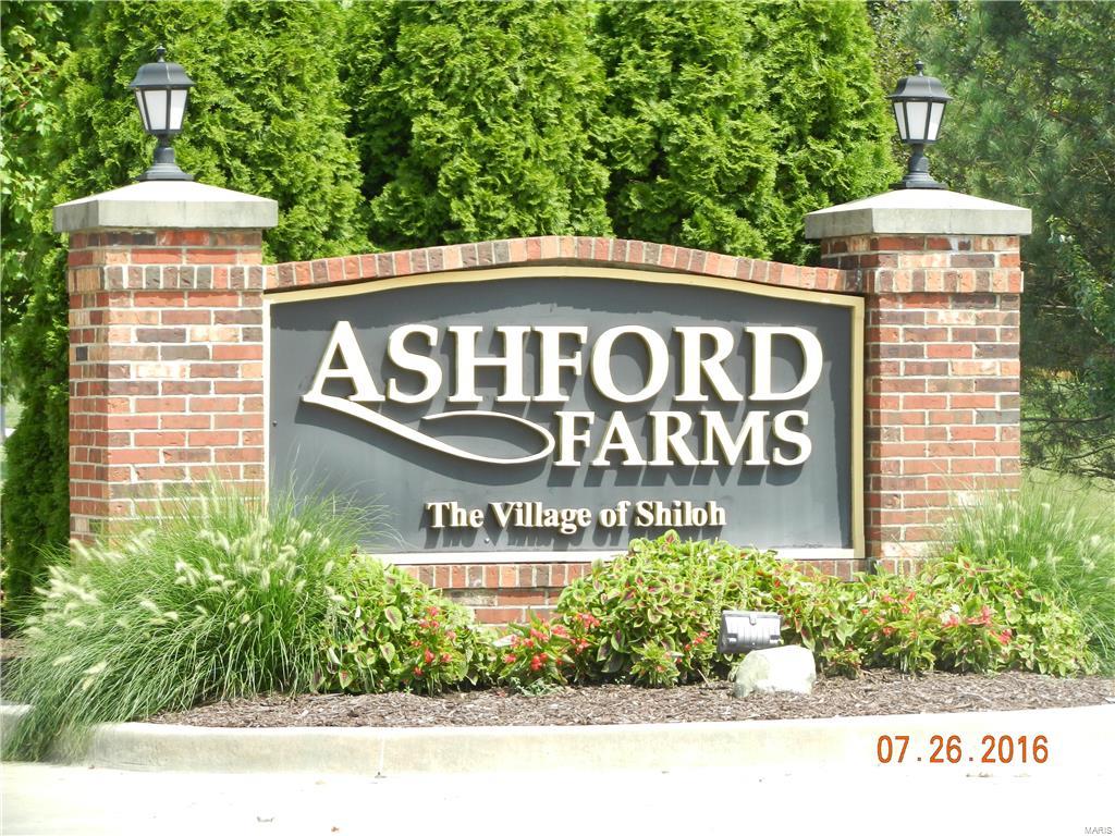 3410 Caton Run Crossing Shiloh, IL 62221 - Photo 4 of 35 Gallery Image 4