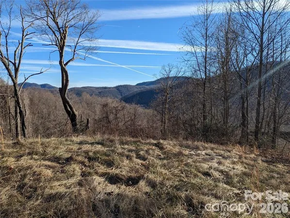 $50,000 | 117 Ironwood Lane, Unit C20, Black Mountain, NC 28711