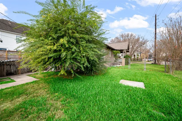 a view of a garden with a tree