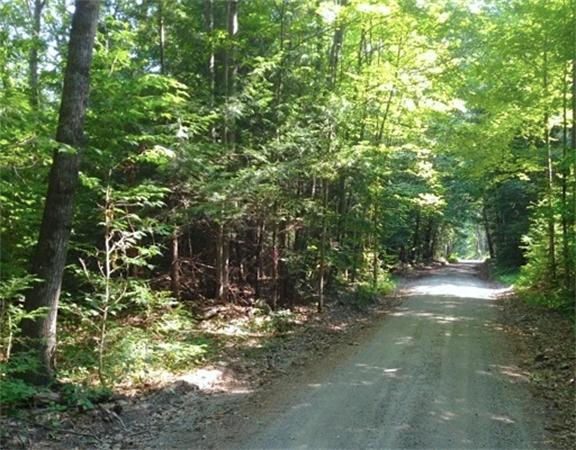 229 Beech Hill Road Warwick, MA 01378 - Photo 1 of 8 Gallery Image 1