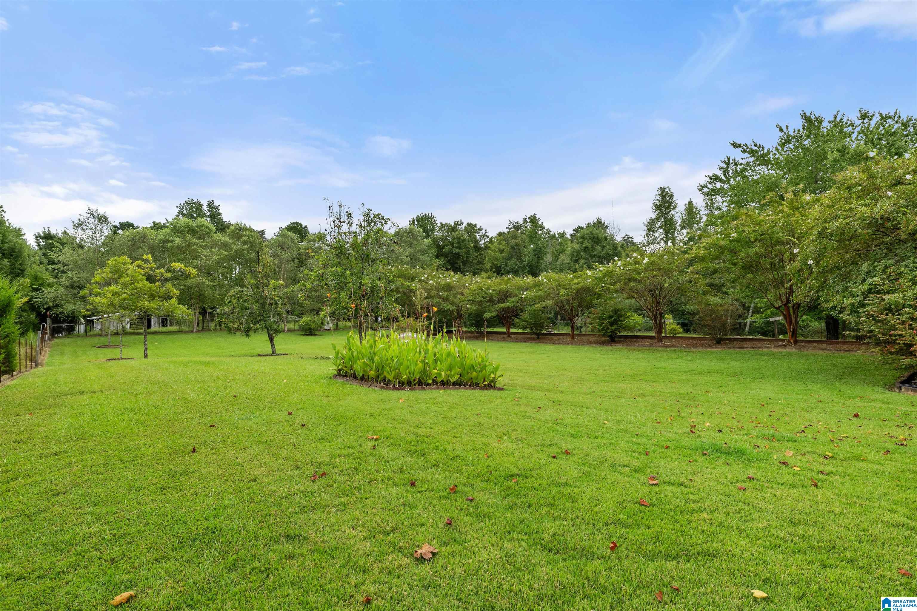 248 Gladden Road Springville, AL 35146 - Photo 10 of 54 Gallery Image 10