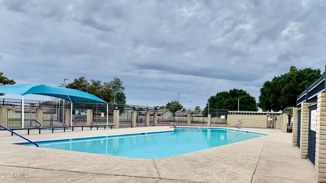 a park with lots of palm trees