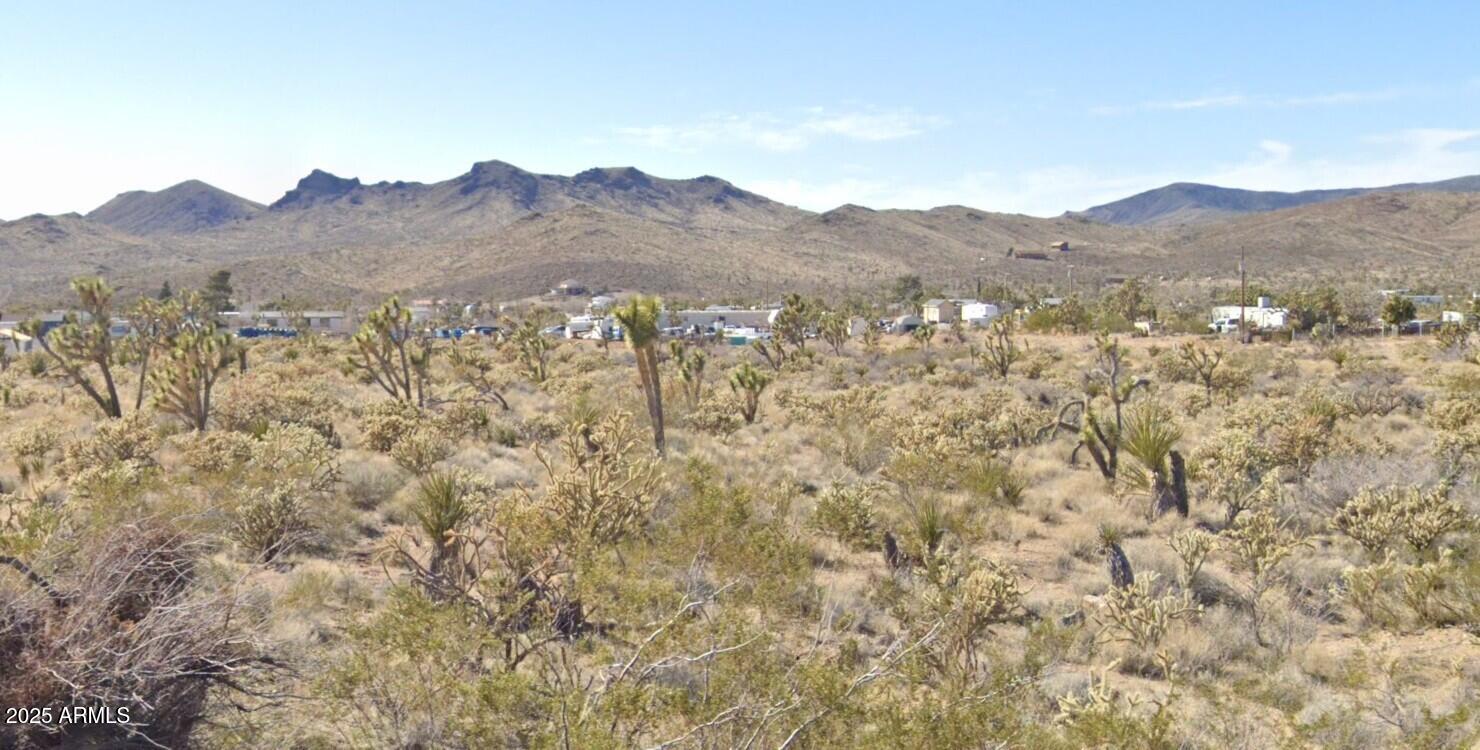 16773 Pierce Ferry Road, Unit 116 Dolan Springs, AZ 86441 - Photo 4 of 6 a view of a mountain range with a lush green hillside
