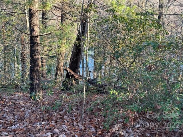 0 Seton Road Lake Lure, NC 28746 - Photo 1 of 11 Gallery Image 1