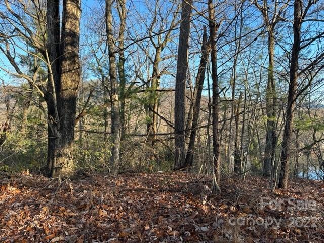 0 Seton Road Lake Lure, NC 28746 - Photo 2 of 11 Gallery Image 2