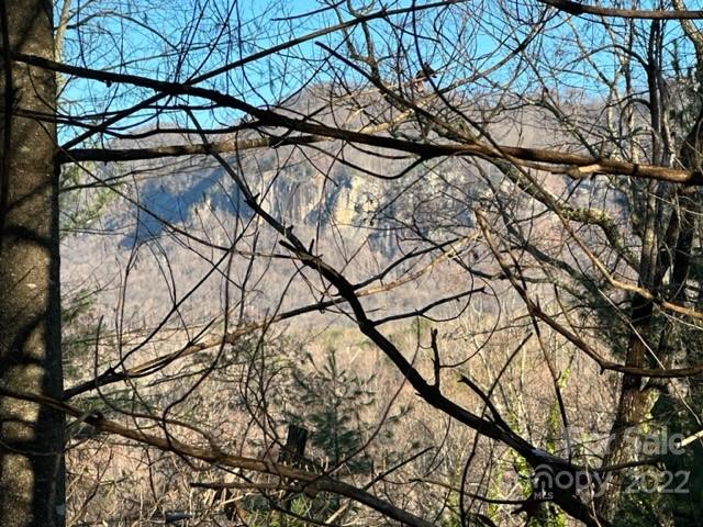 0 Seton Road Lake Lure, NC 28746 - Photo 3 of 11 Gallery Image 3