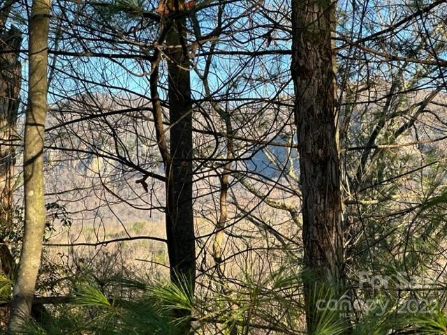 0 Seton Road Lake Lure, NC 28746 - Photo 4 of 11 Gallery Image 4