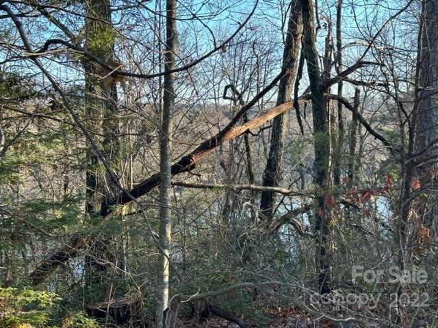 0 Seton Road Lake Lure, NC 28746 - Photo 5 of 11 Gallery Image 5
