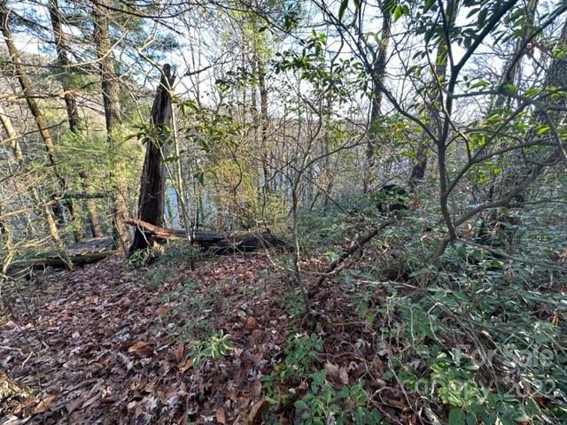 0 Seton Road Lake Lure, NC 28746 - Photo 6 of 11 Gallery Image 6