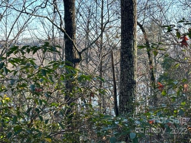 0 Seton Road Lake Lure, NC 28746 - Photo 7 of 11 Gallery Image 7