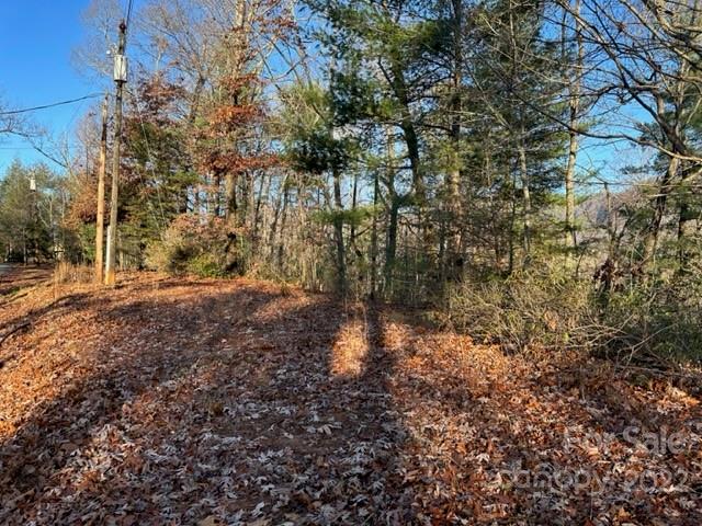 0 Seton Road Lake Lure, NC 28746 - Photo 8 of 11 Gallery Image 8