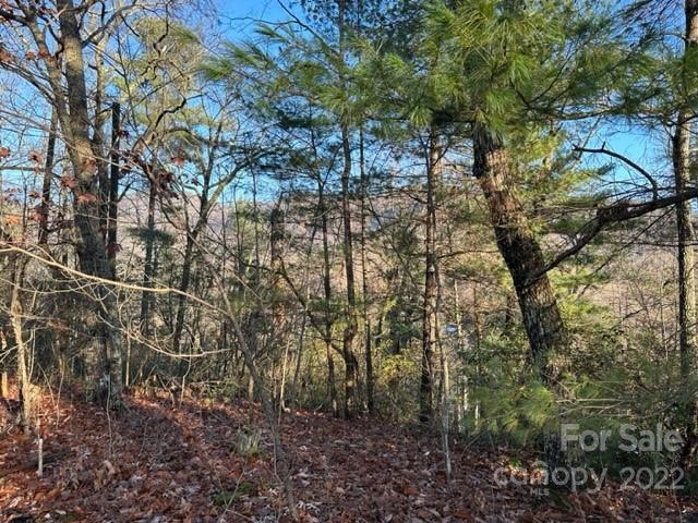 0 Seton Road Lake Lure, NC 28746 - Photo 9 of 11 Gallery Image 9