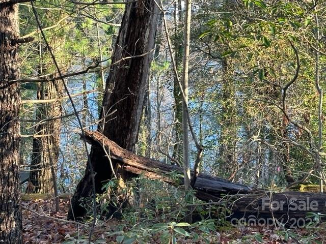 0 Seton Road Lake Lure, NC 28746 - Photo 10 of 11 Gallery Image 10
