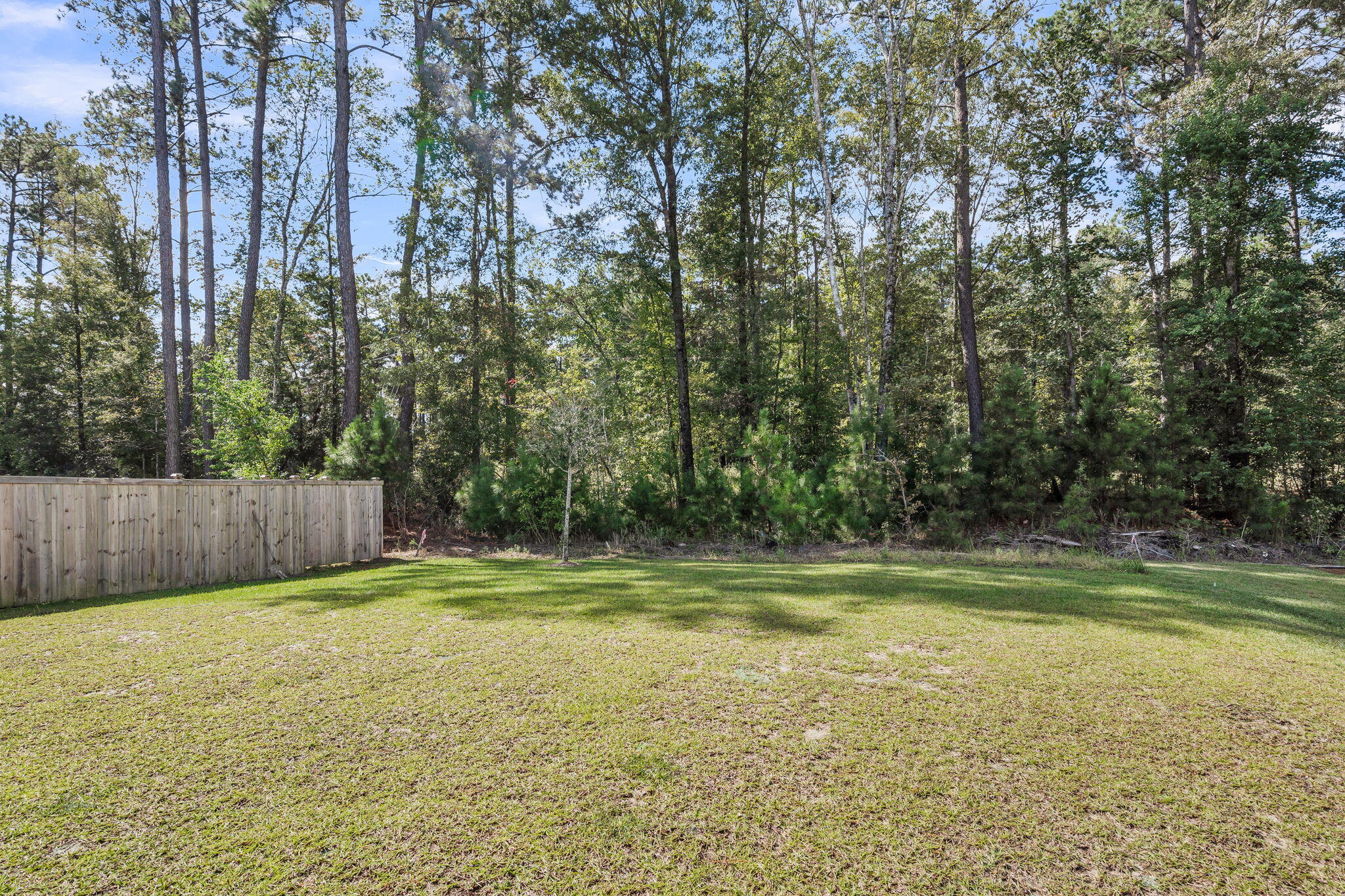 229 Camellia Bloom Drive Moncks Corner, SC 29461 - Photo 29 of 32 CREM - 229 Camellia Bloom Dr-5