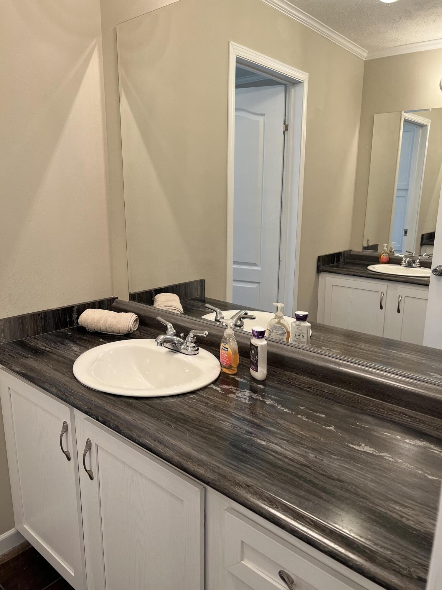 6505 Lincolnton Road Lincolnton, GA 30817 - Photo 12 of 42 dual vanity