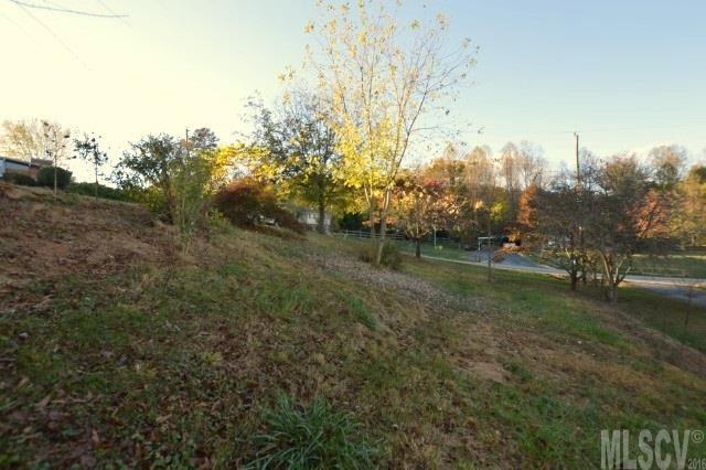 1203 Rambling Acres Circle Lenoir, NC 28645 - Photo 9 of 23 Gallery Image 9